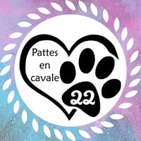 Pattes en cavales 22